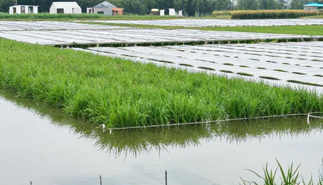 商丘网站制作中的选型关注点及设计流程