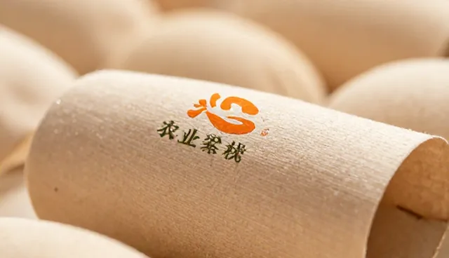 东莞网站建设制作需注意哪些适用情况与限制