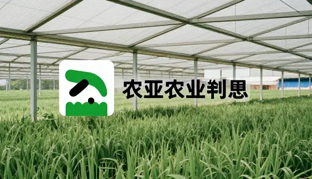 内容分发模式下品牌策划的选型关注点分析