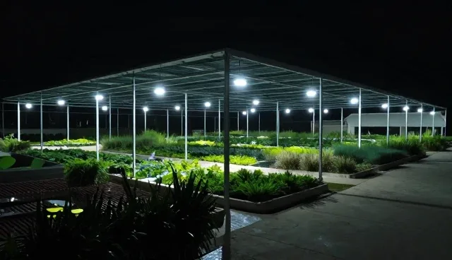 重庆建站如何避免网站制作误区