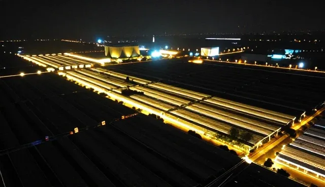 建站软件选型与使用建议：视频剪辑场景应用