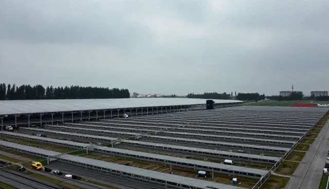 遵义网站建设中的视频剪辑流程与关键环节