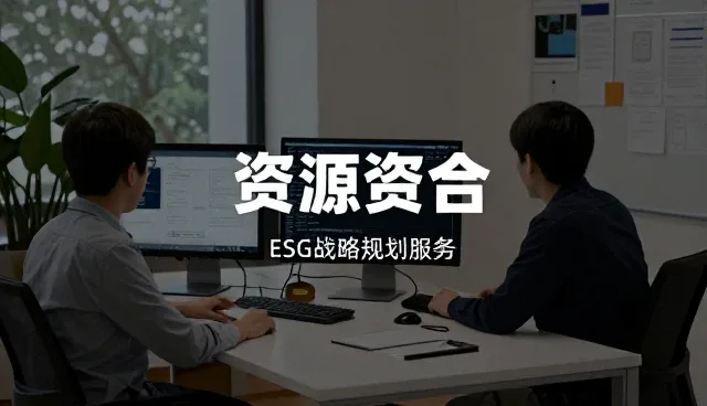 品牌策划中的性能差异与适用条件分析