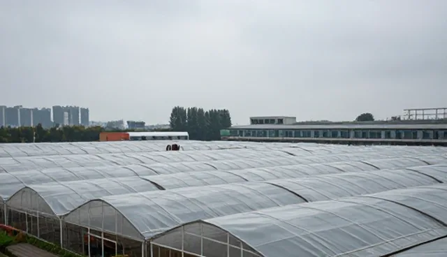 医院网站制作的检查要点与优化建议