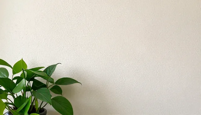广州企业建站中网站转化率低的原因分析